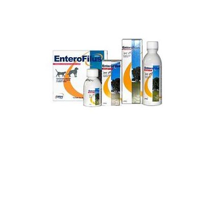 ENTEROFILUS MANG SEMPL 250ML