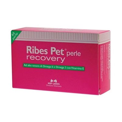 RIBES PET RECOVERY 60PRL