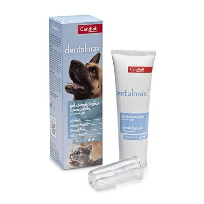 DENTALMAX GEL STOMATOLOGICO 50