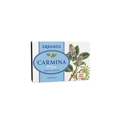 CARMINA PLUS 24CPR 19,2G