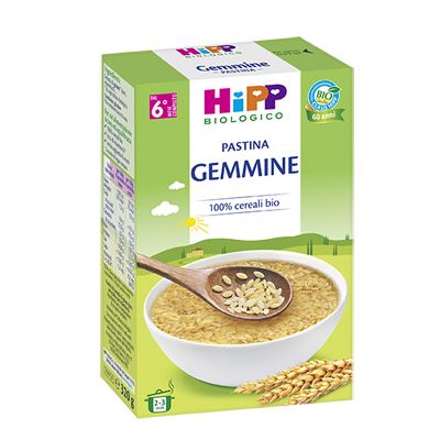 HIPP BIO PASTINA GEMMINE 320G