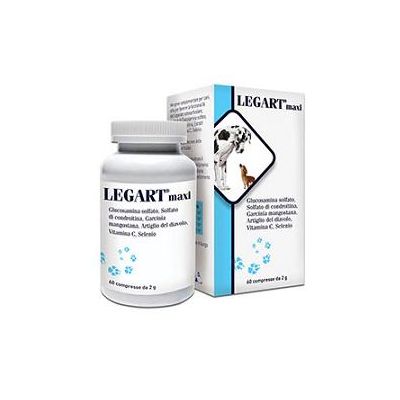 LEGART MAXI 60CPR