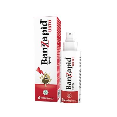 BANZAPID SPR TRATTAMENTO 100ML