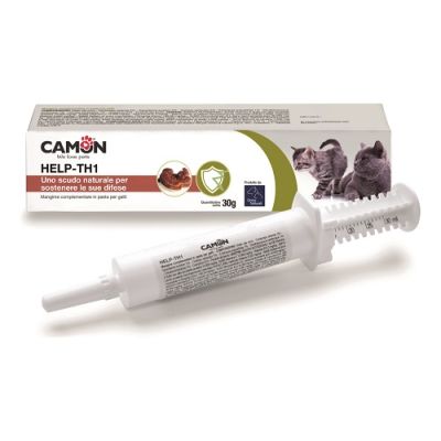 HELP-TH1 PASTA SIRINGA 30G