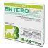 ENTEROLAC POLVERE 8BUST 7,5G