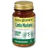 BODY SPRING CARDO MARIANO50CPR