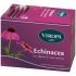 VIROPA ECHINACEA 15BUST