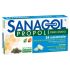 SANAGOL PROPOLI PINO MUGO24CAR