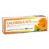 CALENDULA VITI CREMA 100ML