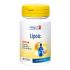 LONGLIFE LIPOIC 30CPR