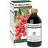 SCHISANDRA ESTR INTEGRALE200ML