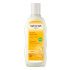 AVENA SHAMPOO RISTRUTTURANTE