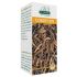 CORDYCEPS 180PAST