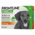 FRONTLINE COMBO*3PIP 2-10KG CA