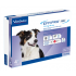 EFFIPRO DUO*4PIP 10-20KG CANI