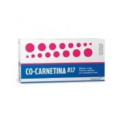 immagine di 021852013 - COCARNITIN B12 - L-CARNITINA SALE 500 MG + 2 MG POLVERE E SOLVENTE - 10 FLACONI