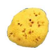 SPUGNA NAT FORI L 8/9CM 5