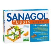 immagine di 903152229 - SANAGOL TUSSIS ARANCIA 24CAR
