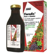 immagine di 906706027 - FLORADIX 250ML