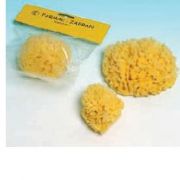 immagine di 909429274 - SPUGNA NAT MARE 4 EXTRA GRANDE