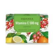 immagine di 924122993 - VITAMINA C 500 24CPR