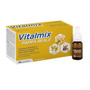 immagine di 939683506 - VITALMIX - INTEGRATORE CON PAPPA REALE E VITAMINE - 10 FLACONICNI