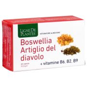 immagine di 942875903 - BOSWELLIA ARTIGLIO DIAVOL60CPS