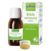 immagine di 977701046 - BETULA VERRUCO BOI MG 60ML INT