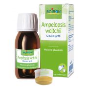 immagine di 977709930 - AMPELOPSIS WEI BOI MG 60ML INT