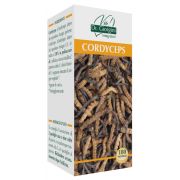 immagine di 983510203 - CORDYCEPS 180PAST