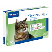 immagine di 104836022 - EFFIPRO DUO*4PIP 1-6KG GATTI